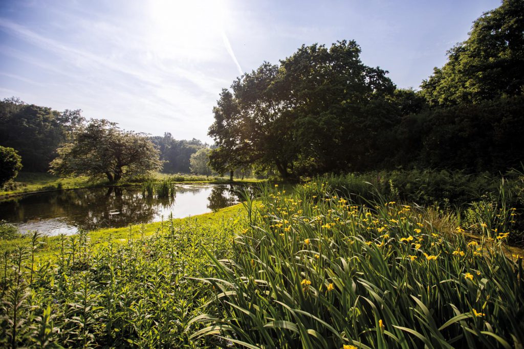 New Build Houses For Sale In Norfolk Hopkins Homes