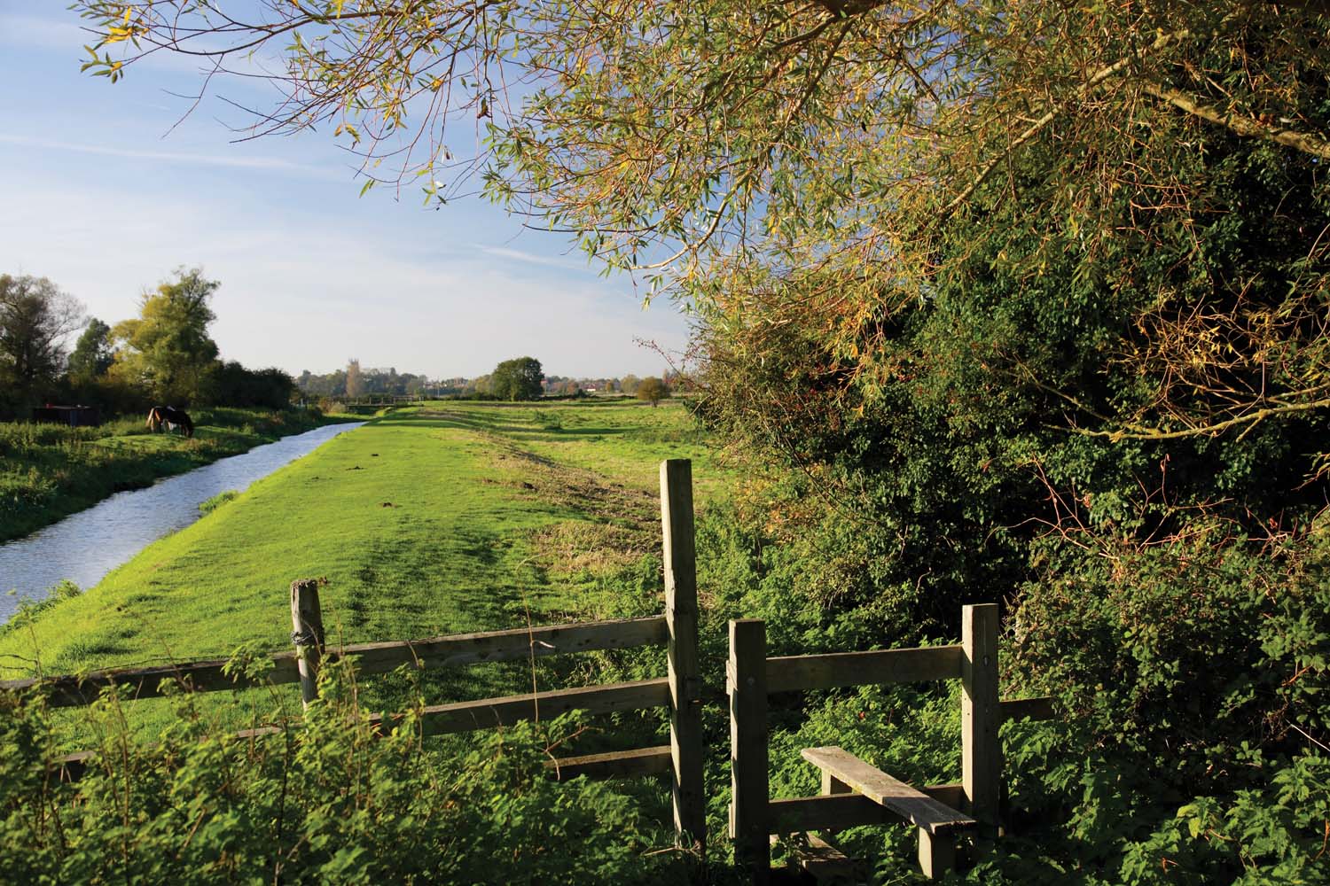 Scenic View Of Soham