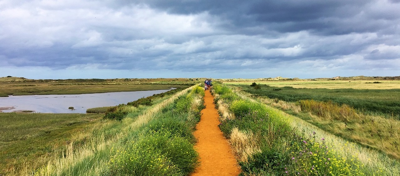 a norfolk footpath through the countryside