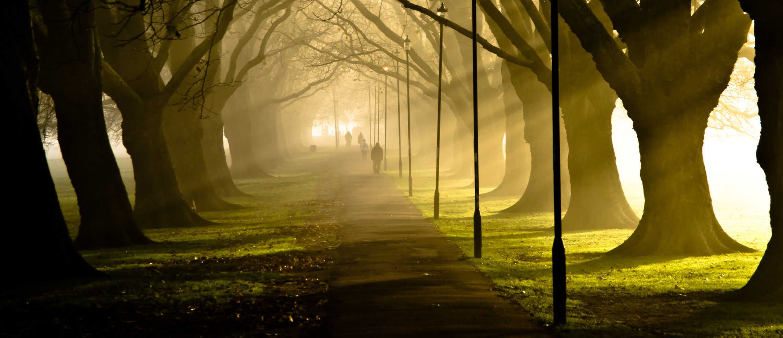 Jesus Green, Cambridge