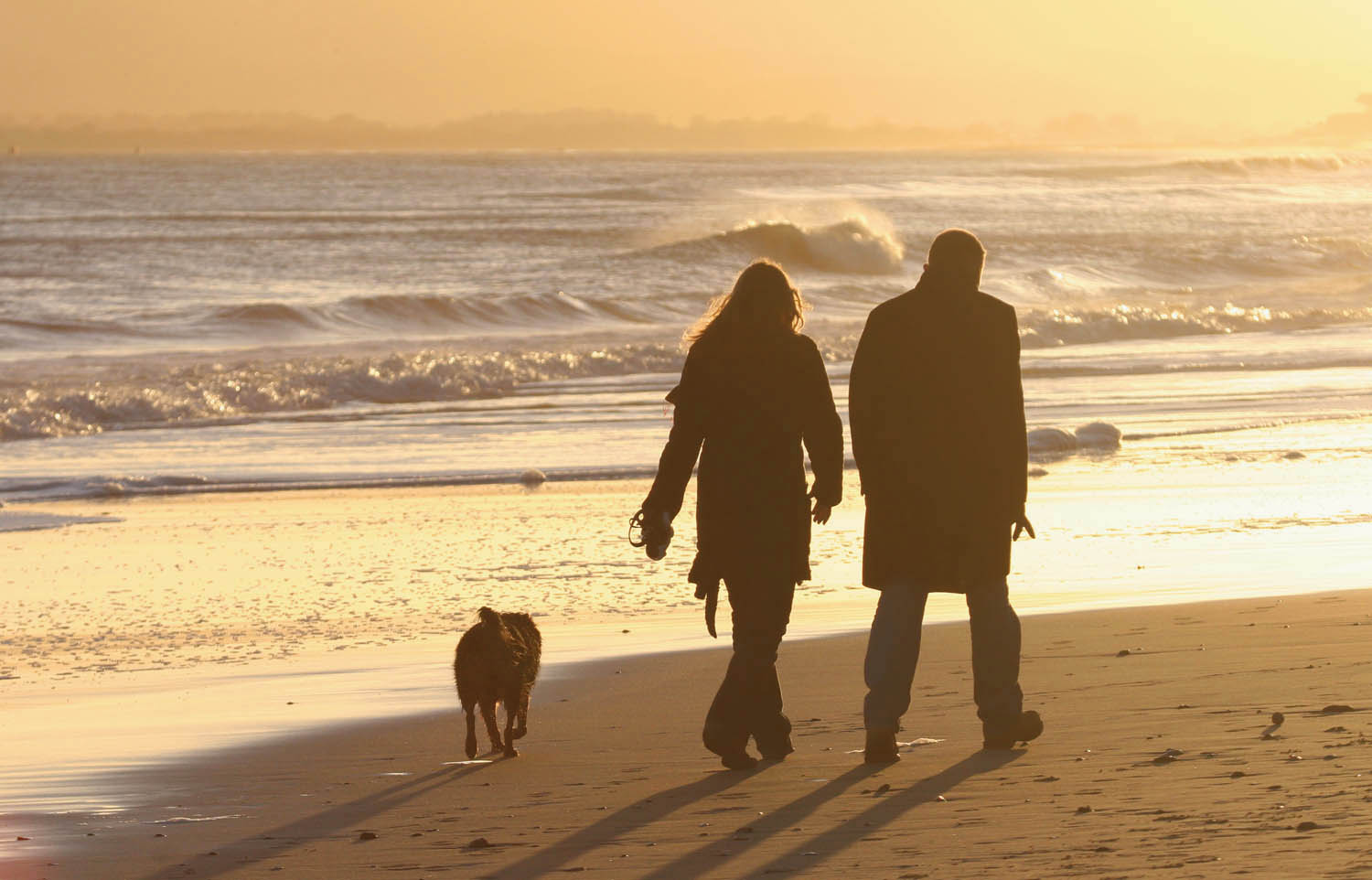 Man And Woman Walking A Dog On A Beach In Suffolk