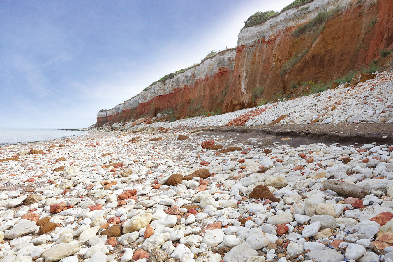 Scenic View Of Beach In Norfolk