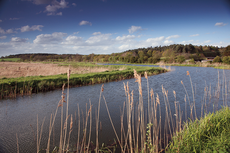 View Of The Norfolk Countryside