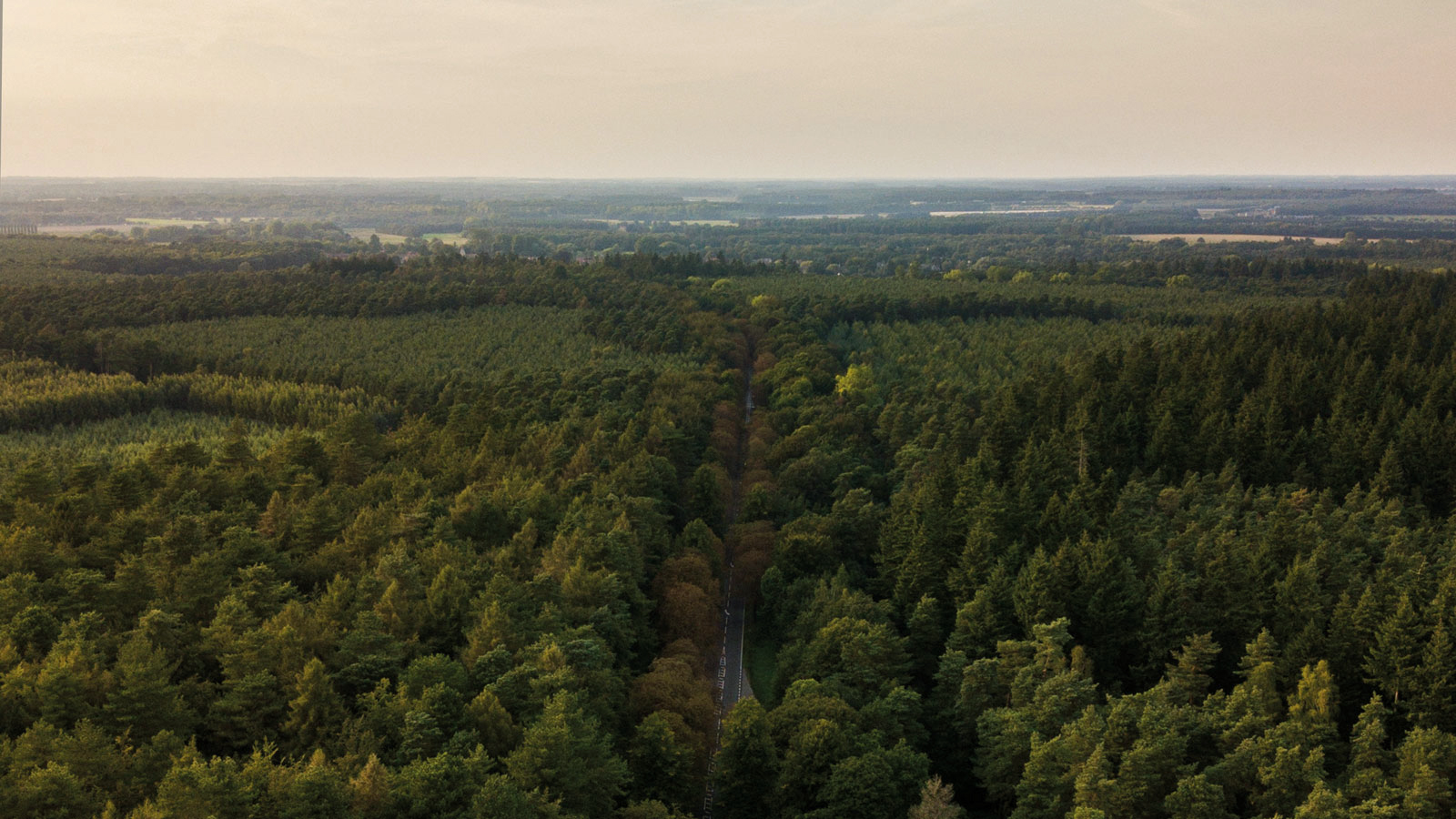 View Of The Norfolk Countryside