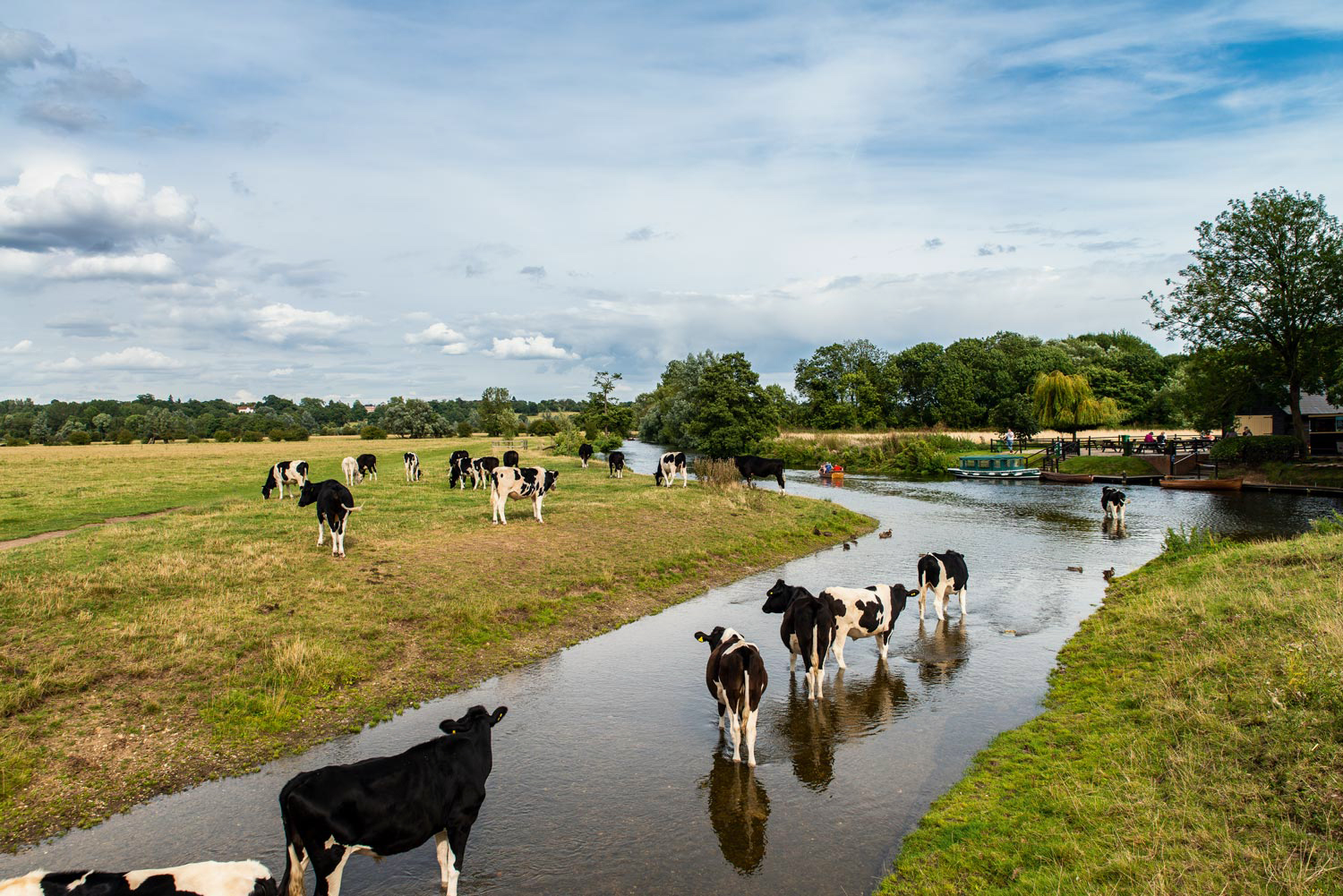 View Of The Suffolk Countryside