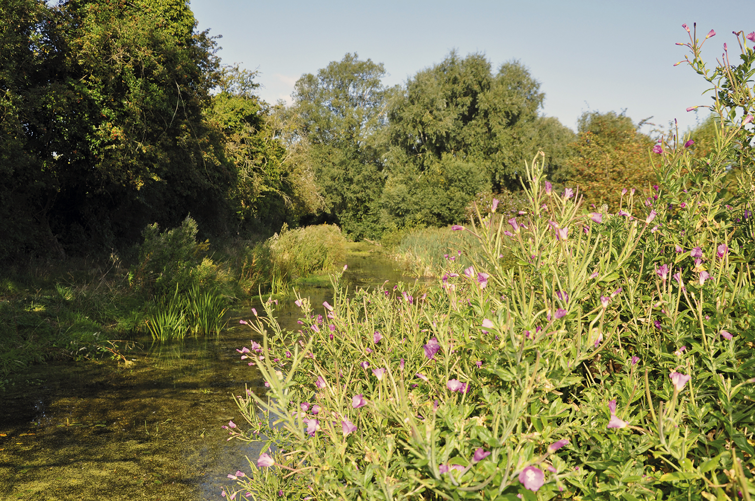 View Of The Suffolk Countryside