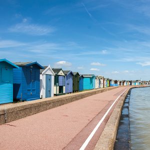 Top 5 schools in Essex