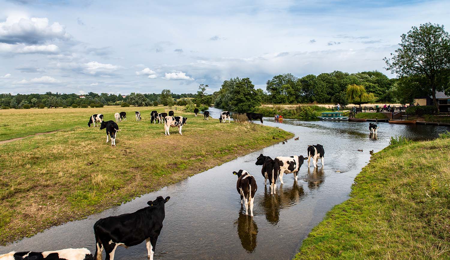 River Stour near West Bergholt