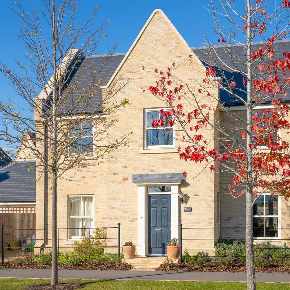 External image of house with winter tree