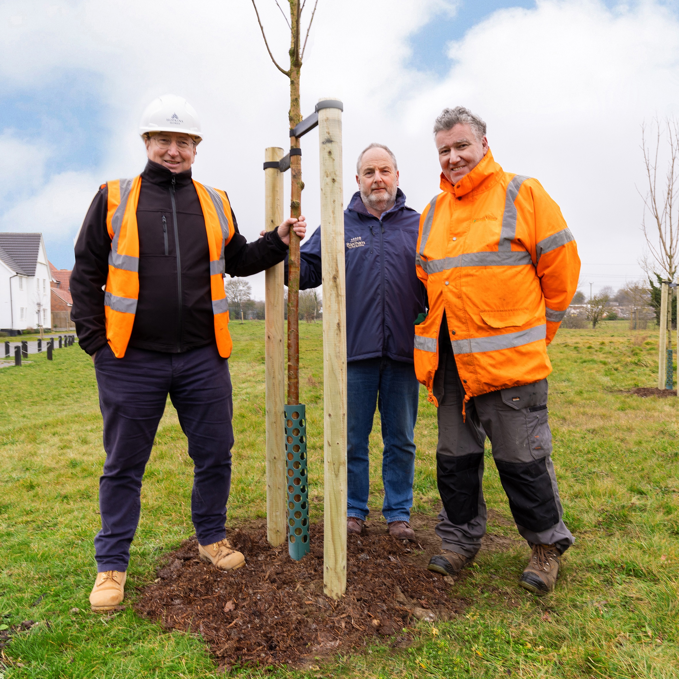 men in shart hat and hi-vis standing next to a new tree