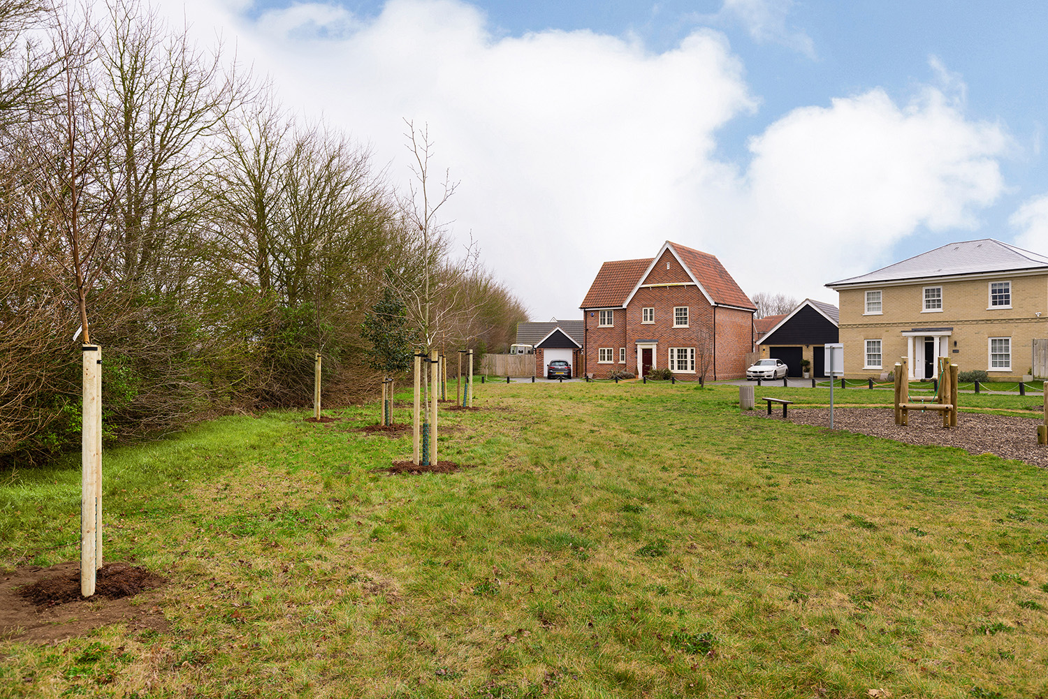 New trees planted Bramford