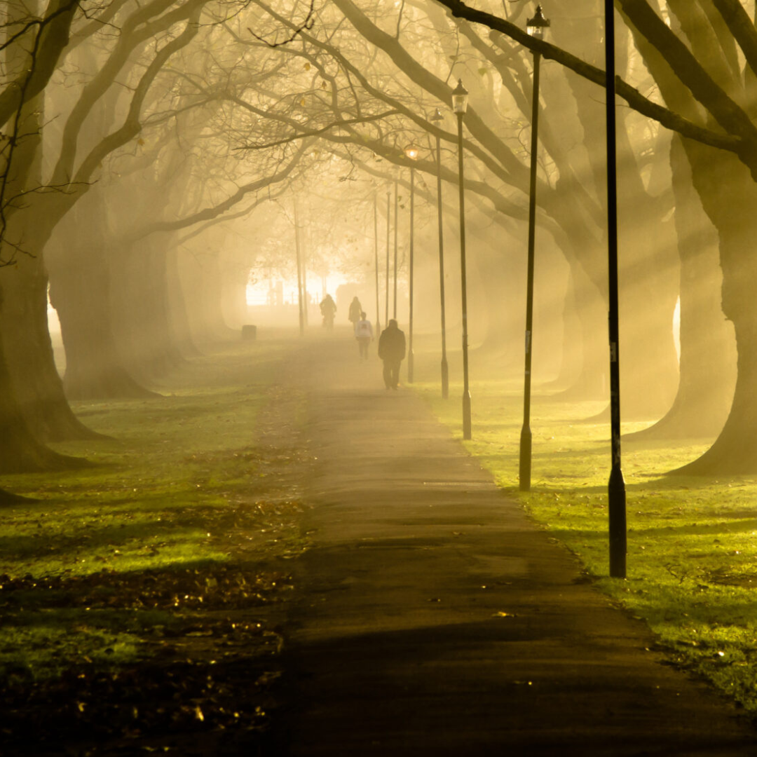 Jesus Green, Cambridgeshire