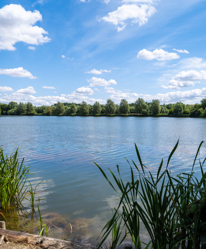 Spend the day exploring the countryside around Bramford
