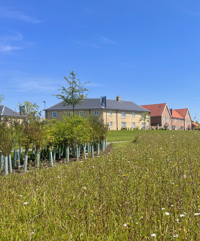 Mill Grove, Stowmarket