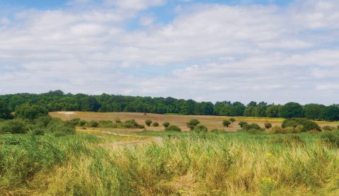 Church View Header