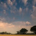 Sunset over a countryside view in Essex