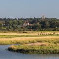 Suffolk marshland